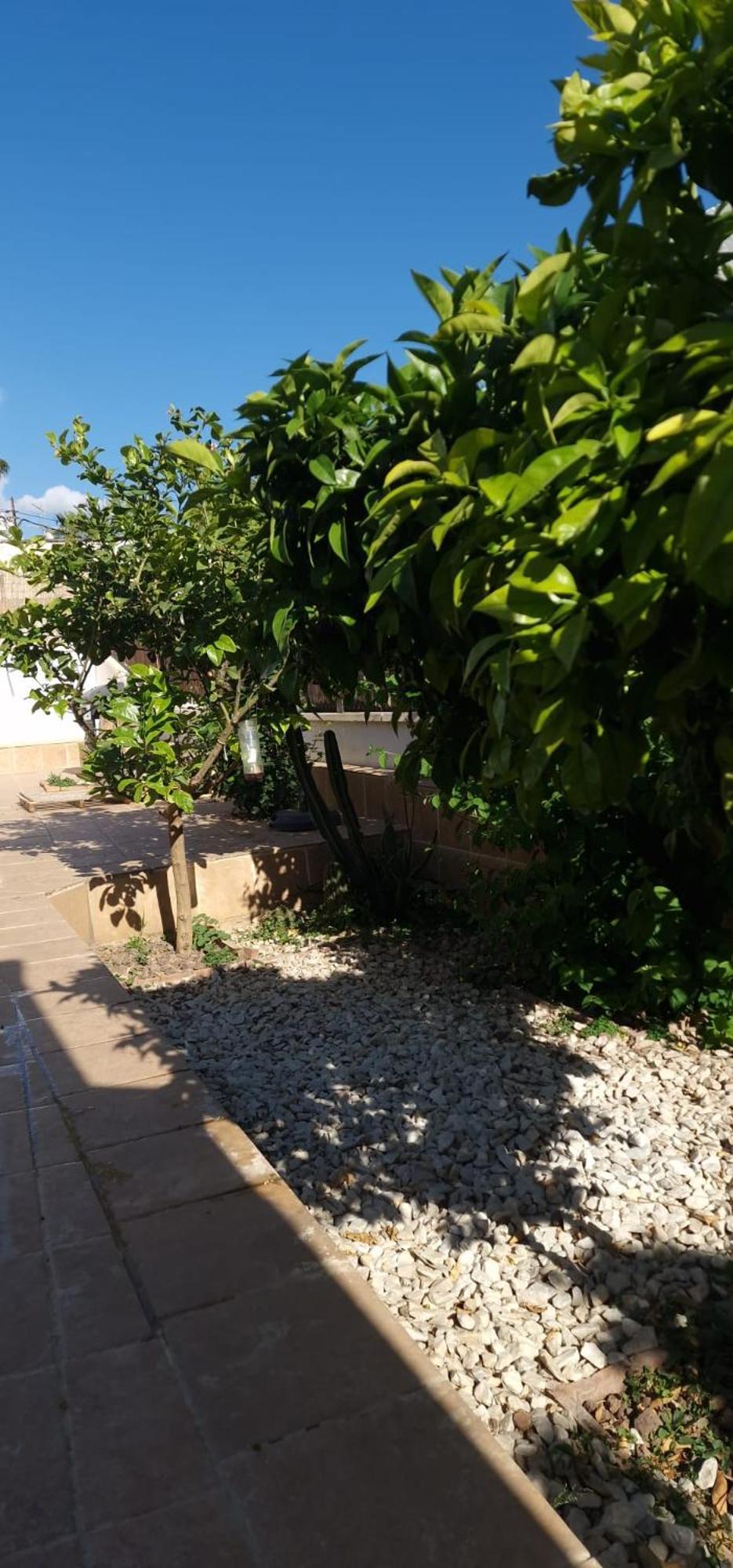 Maestranza Apartment แบร์คา ภายนอก รูปภาพ